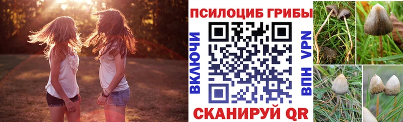Псилоцибиновые грибы Psilocybe  купить наркотик  Дудинка 